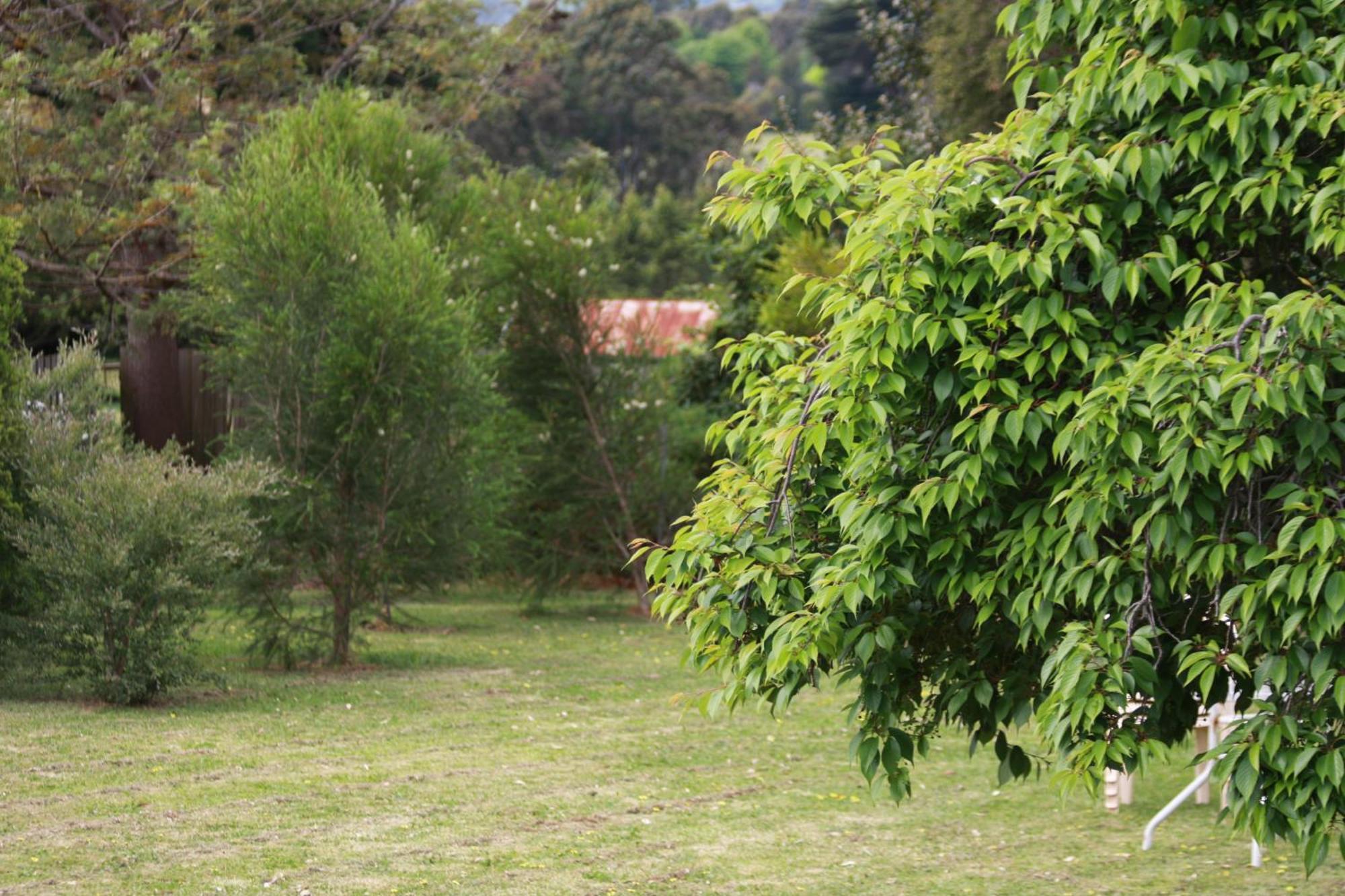 Opal Motel Leongatha Exteriér fotografie